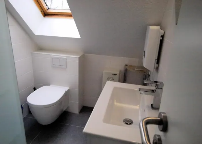 Takelage: Hundefreundlich & Balkon